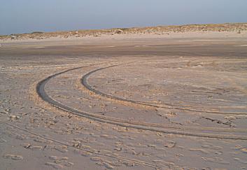Spuren im Sand. 